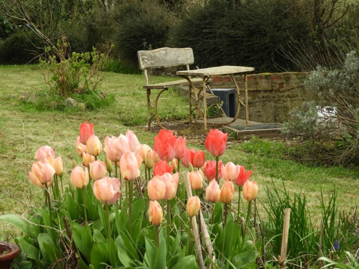 Au Domaine De Sophie Chambres D'Hotes Crasville  Luaran gambar